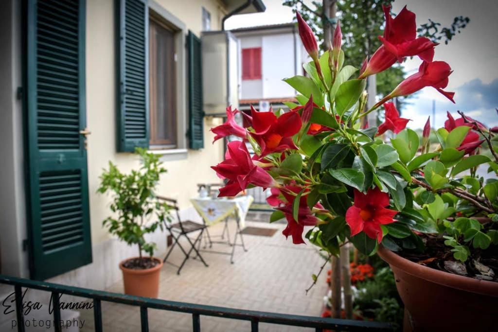 Apartamento Casa Letizia Ponsacco Exterior foto