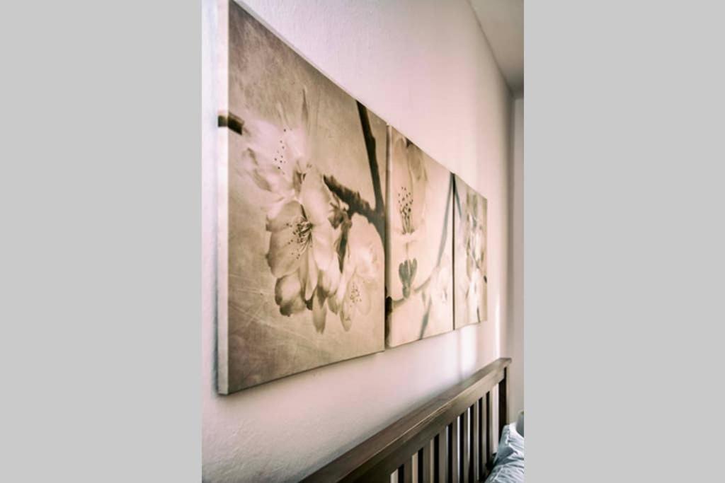 Apartamento Casa Letizia Ponsacco Exterior foto